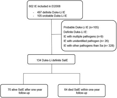 Staphylococcus aureus endocarditis: Identifying prognostic factors using a method derived from morbidity and mortality conferences